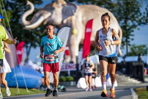 BIB: 
                            <button type="button" onclick="openModal(26541378)" class="btn btn-primary btn-sm float-right btn-popup" data-toggle="modal" data-target=".modal-high-quality">
                        <i class="fas fa-shopping-cart"></i> Add to Cart
                    </button>
                                            <button type="button" onclick="isThisMe(26541378, true)" class="btn btn-success btn-sm float-right btn-popup btn-isme hidden" data-toggle="tooltip" data-placement="bottom" title="นี่คือรูปของคุณใช่ไหม คลิกที่นี่เพื่อเอาเข้าอัลบั้ม">
                        <i class="fas fa-plus"></i> Add to album
                    </button>
                    <button type="button" onclick="isThisMe(26541378, false)" class="btn btn-warning btn-sm float-right btn-popup btn-isnotme hidden">
                        <i class="fas fa-ban"></i> Remove from album
                    </button>